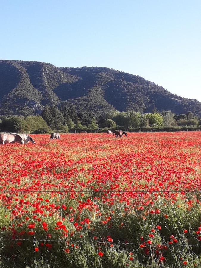 Gite Le Bagnol Un Coin De Paradis Maubec  Exterior foto